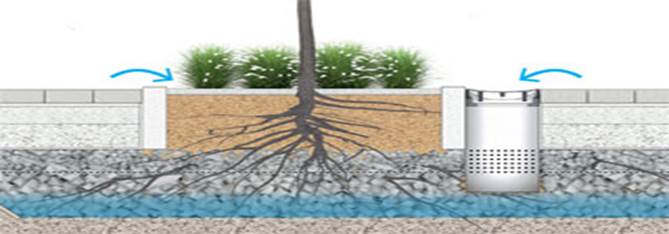 Visualisierung des Wurzel-Raums bei einem Baum der "Schwammstadt"