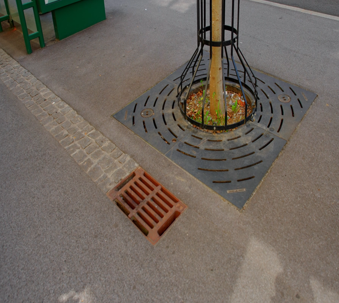 Stockholmbäume Leonhardstraße: Regenwasser über Einlaufschacht zum Baum statt in den Kanal
