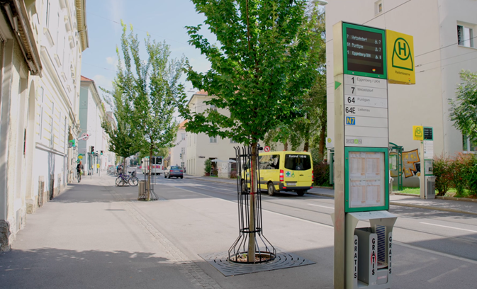 Stockholm-Bäume Leonhardstraße